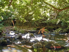 Nuuanu stream crossing